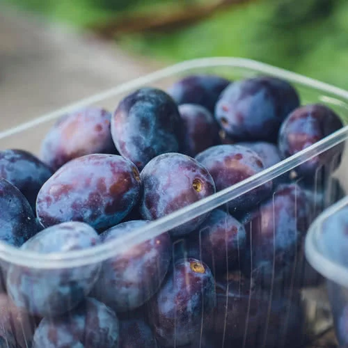 Fresh Plums in a Plastic Container